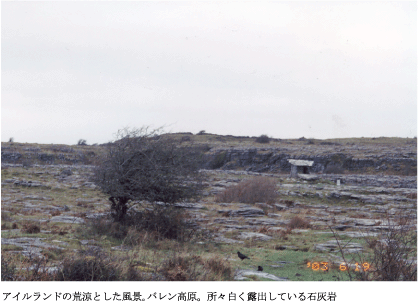 アパートデザイン建築ヨーロッパ0430,アイルランドの荒涼とした風景。バレン高原。所々白く露出している石灰岩