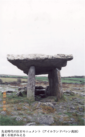 先史時代の巨石モニュメント（アイルランドバレン高原）遠く石垣が見える
