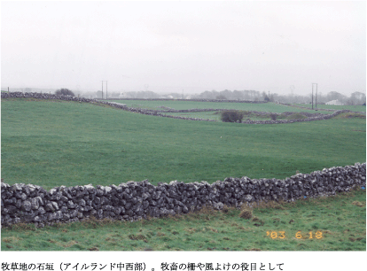 牧草地の石垣（アイルランド中西部）。牧畜の種や風よけの役目として