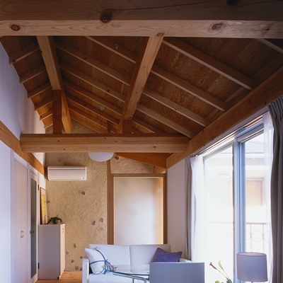 欧風専用住宅の天井　| 和欧スタイル 専用住宅デザイン