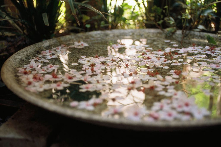 アトリエ ボーヌ- 賃貸住宅建築設計・ローコスト＆長期高利回りの中庭アパルトメント - デザイナーズ物件・おしゃれ賃貸・ヨーロッパ風・賃貸経営・中庭・新しいアパート・丸山耕一 まるやまこういち・丸山保博 まるやまほはく